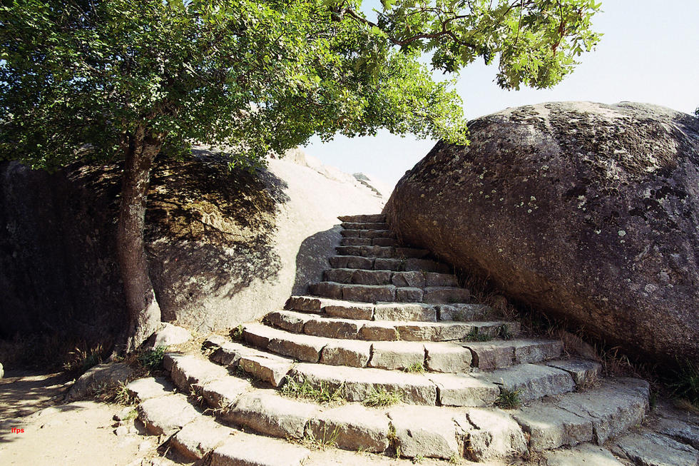 Esclaera silla FII.com