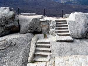 images.duckduckgo.com